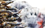 Soirée repas – Plobannalec-Lesconil- Paysbigouden – Bigoudenjoy