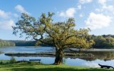 site-abbatial-de-saint-maurice-clohars-carnoet-sdnr-042025-amelie-quimperle-les-rias-2-1080×590
