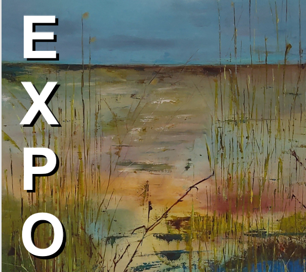 Exposition – Plozévet – Pays Bigouden