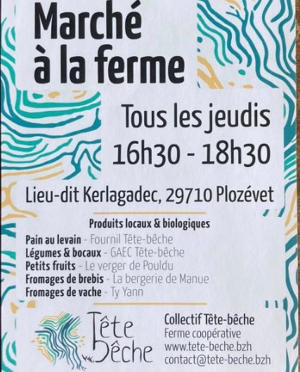 Marché -tête bêche -Plozévet -Pays bigouden