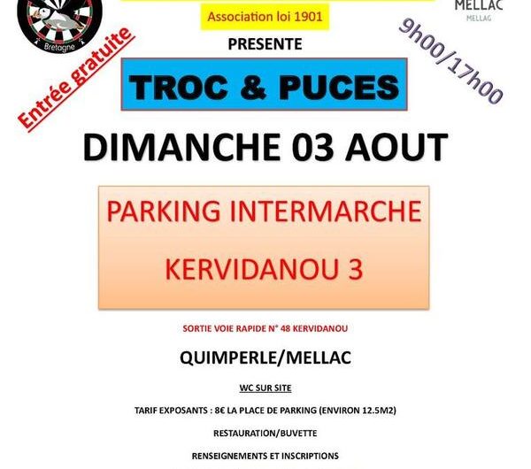 troc-et-puces-macareux-darts-Mellac-29