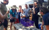 Visite aux Viviers de Penfoulic