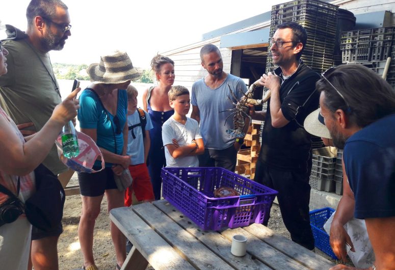 Visite aux Viviers de Penfoulic